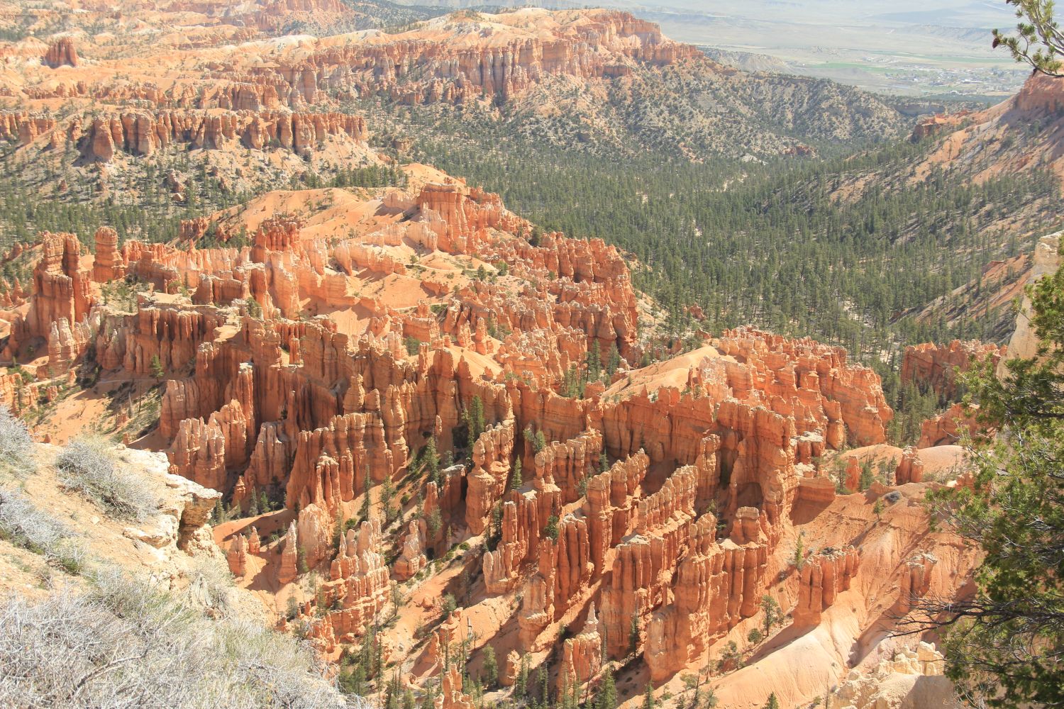 Bryce Point to Inspiration Point 